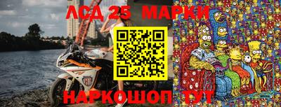 гидропоника Будённовск