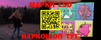 гидропоника Будённовск