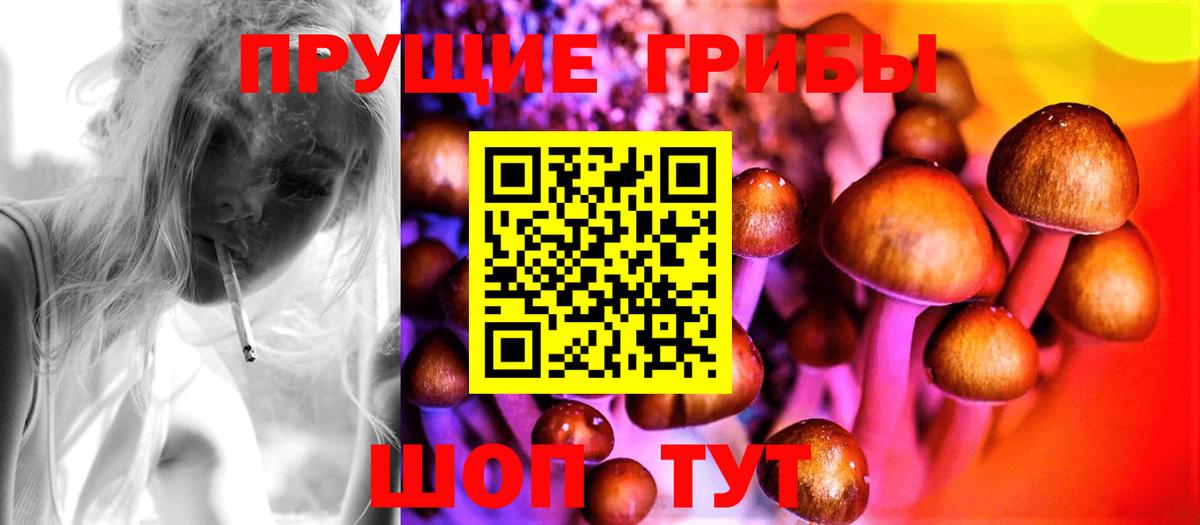 Псилоцибиновые грибы мухоморы  Псилоцибиновые грибы GOLDEN TEACHER  Вход с VPN  Пятигорск 